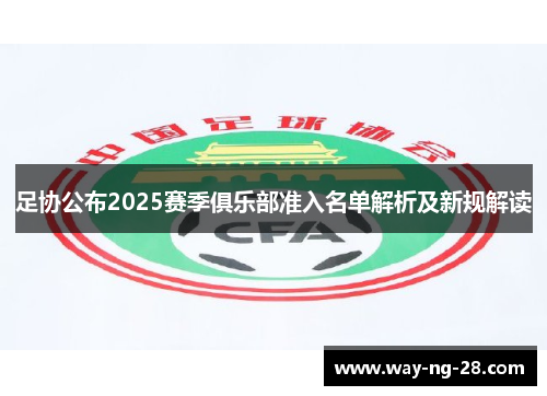 足协公布2025赛季俱乐部准入名单解析及新规解读