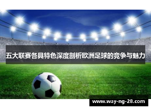 五大联赛各具特色深度剖析欧洲足球的竞争与魅力