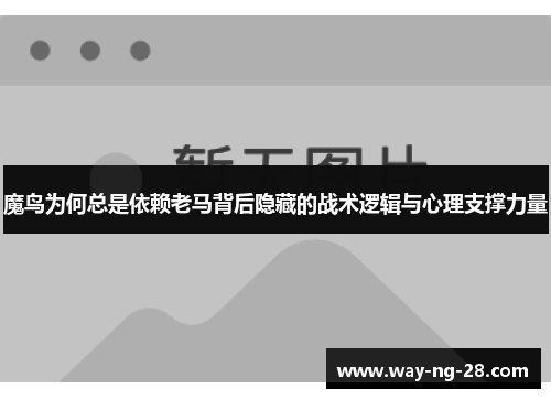 魔鸟为何总是依赖老马背后隐藏的战术逻辑与心理支撑力量