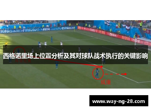 西格诺里场上位置分析及其对球队战术执行的关键影响