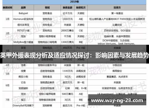 英甲外援表现分析及适应情况探讨:影响因素与发展趋势 英甲外援表现分析及适应情况探讨:影响因素与发展趋势