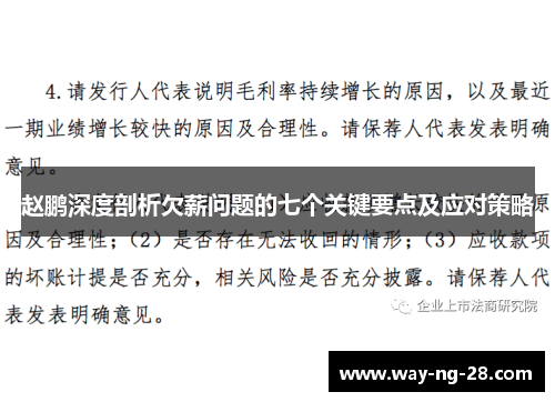 赵鹏深度剖析欠薪问题的七个关键要点及应对策略