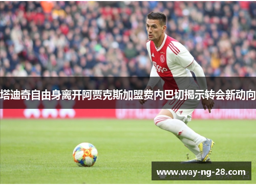 塔迪奇自由身离开阿贾克斯加盟费内巴切揭示转会新动向
