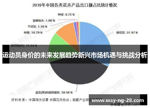 运动员身价的未来发展趋势新兴市场机遇与挑战分析