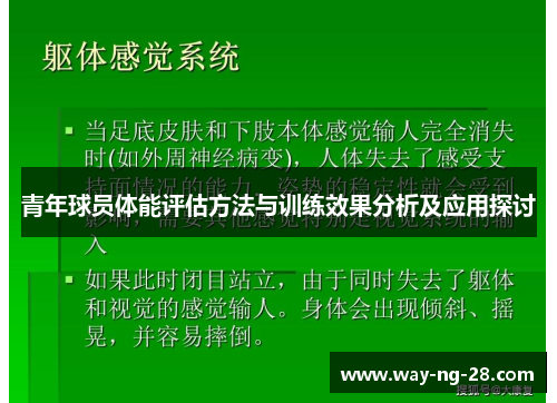 青年球员体能评估方法与训练效果分析及应用探讨
