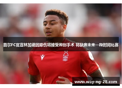 首尔FC官宣林加德因膝伤将接受微创手术 将缺席未来一段时间比赛 首尔FC官宣林加德因膝伤将接受微创手术 将缺席未来一段时间比赛