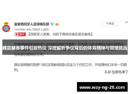 魏震禁赛事件引发热议 深度解析争议背后的体育精神与管理挑战
