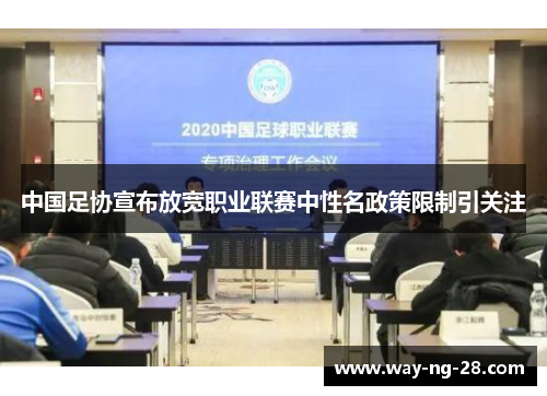 中国足协宣布放宽职业联赛中性名政策限制引关注