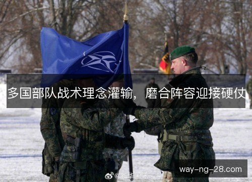多国部队战术理念灌输,磨合阵容迎接硬仗 多国部队战术理念灌输,磨合阵容迎接硬仗